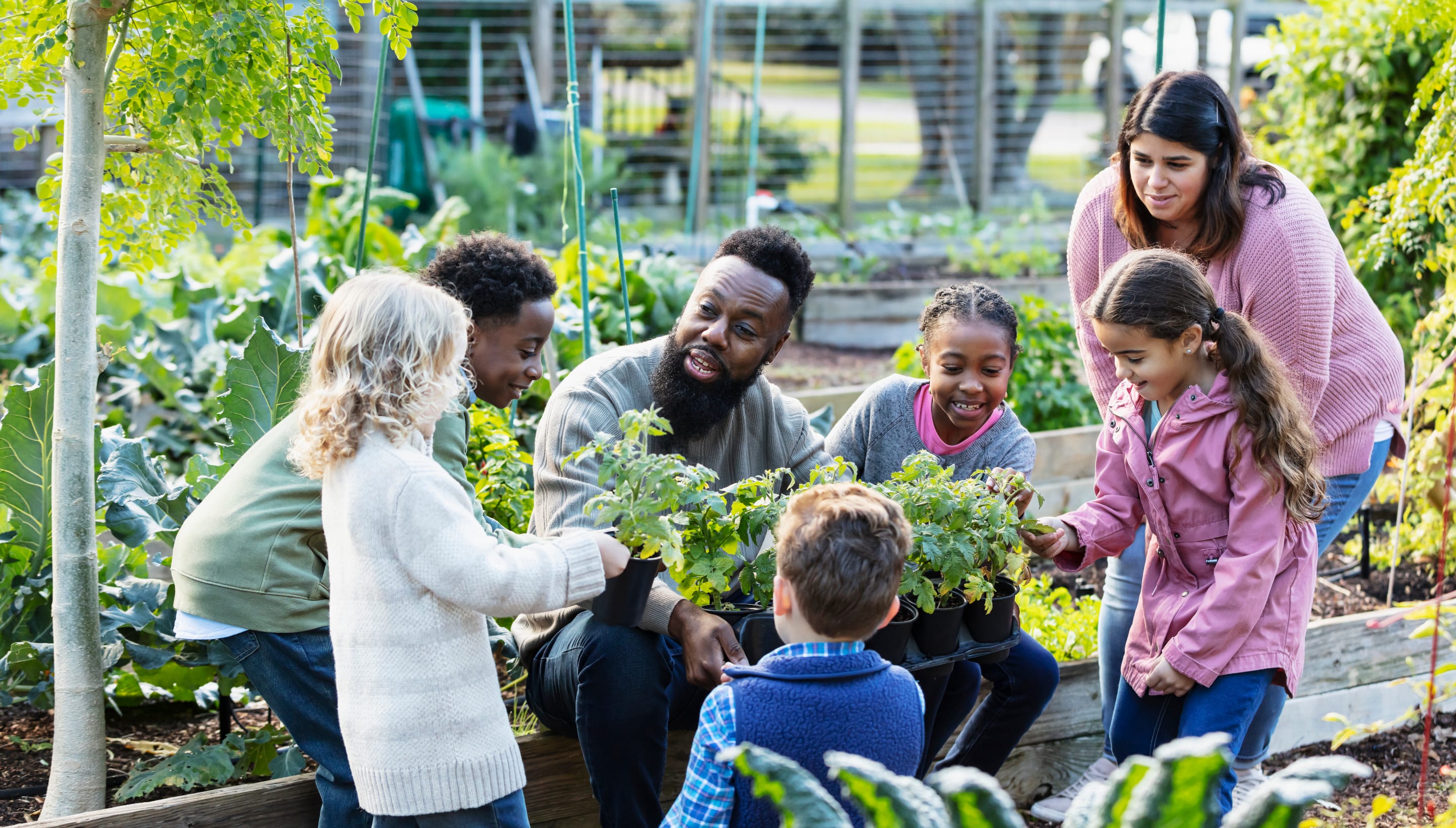 Youth working in a community garden